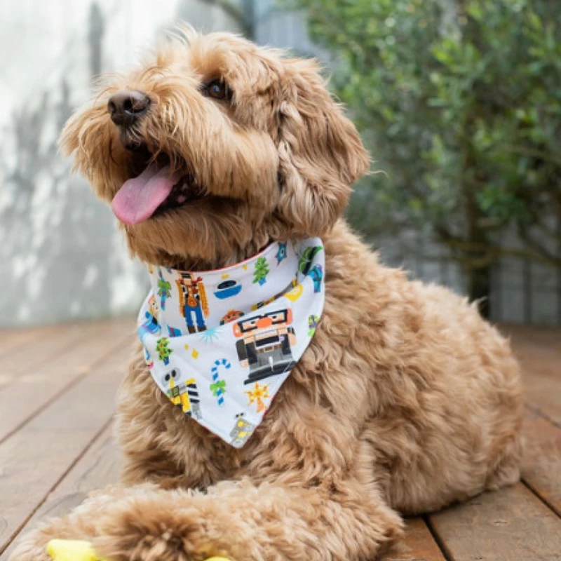 Pixar Holiday Bandana Set For Dogs 1 Pixar Holiday Bandana Set For Dogs